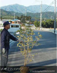 ~coccW/R}`~coccW/OtiԐFFsNjiF1.6mOj2025.11Be