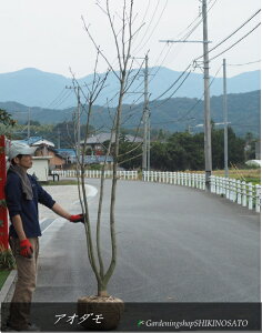 AI_ iF2.7mOj@2025.11Be