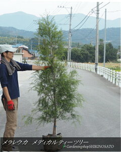 EJ/eBc[hfBJeB[c[hiF2.1mOj2025.11Be