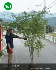 Cn~W/gt/R~WNo1iF2.2mOj2025.11Be