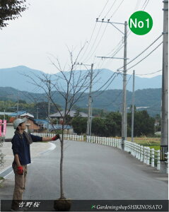 TN g\CVm/g/g/VmTNh iF2.7mOj2025.11Be