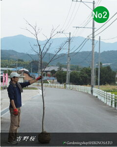 TN gg/VmTNh No2iF2.6mOj2025.11Be