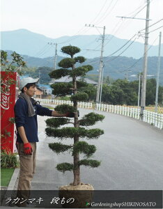 J}L/炩܂híhi1.9mOj2025.11Be