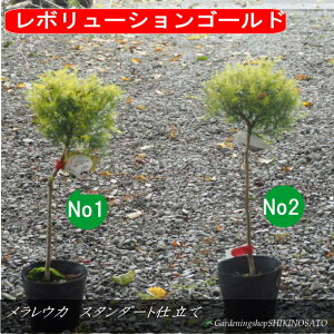 yX^_[hdāzEJ@X^_[hd/gsA[/ێd iF0.6mOj2025.11Be