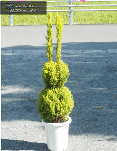 Rjt@[/S[hNXg@gsA[i^jiF1.2mOE8j2025.11Be