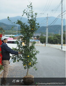 c@Y/ԗMqi˗Mq/niYjiF2.6mOj2025.11Be