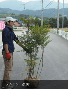 ie/V /AJieiԎjiF1.6mOj2025.11Be