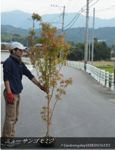 Vij[TS~W hXgth@iF1.8mOj2025.11Be