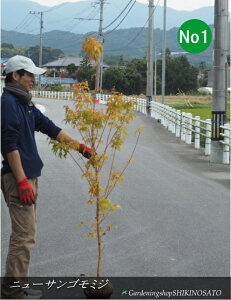 Vij[TS~W hXgth@iF1.5mOj2025.11Be