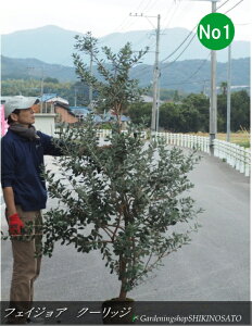 tFCWA/pCibvK@o@N[bWNo1iF1.8mOj2025.11Be