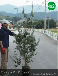 tFCWA/pCibvK@o@N[bWNo2iF1.8mOj2025.11Be