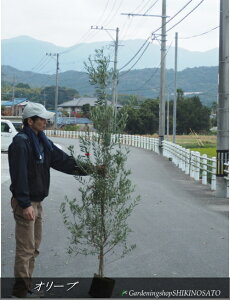 V{c[EډBɍœKI[u/I[u̖؁hVvbcV[mhF1.8mO2025.11Be