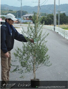 I[u/I[u̖؁h~bVhiF1.7mOj2025.11Be