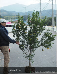 c2025.11t~J/݂/݂jiF1.7mOj2025.11Be