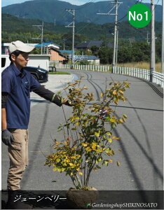 W[x[/Wx[h}L[hiF1.3mOj2025.10Be