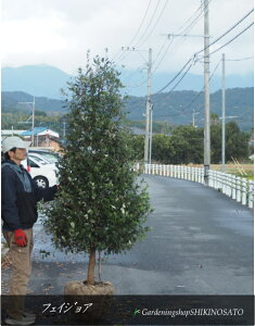 ycׁztFCWAh}XhiF2.3mOj2025.11Be