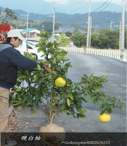 2025.11tcהӔM/oyCiF1.4mOj2025.11Be