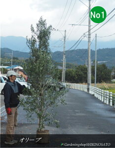 I[u/I[u̖No1iF2.6mOj@2025.11Be