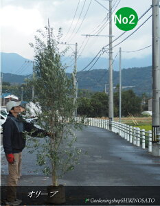 I[u/I[u̖No2iF2.6mOj@2025.11Be