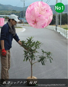 2025.11.10ԉtmVNiQ/Γԁ@/炪isNj iF1mOj2025.11Be