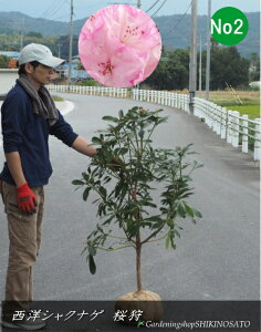 2025.11.10ԉtmVNiQ/Γԁ@/炪isNj iF1mOj2025.11Be