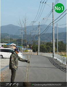 R`AI_ No1iF2.5mOj2025.12Be