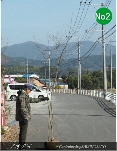 R`AI_ No2iF2.5mOj2025.12Be