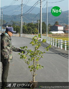 EoC/X~iF1.2mOj2025.11Be