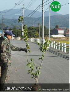 EoC/X~ iF1.6`1.7mOj2025.12Be