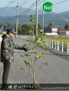 EoC/X~ No8iF1.7mOj@2025.11Be