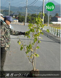 EoC/X~ iF1.6mOj2025.11Be