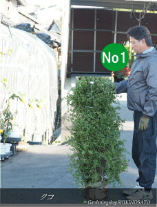 c@NR /NR̎@F1.2mO2025.12Be