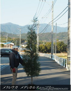 EJ/eBc[hfBJeB[c[hiF2.4mOj2025.12Be