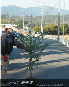 [Jh␢EhiF1.7mOj2025.12Be