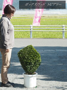 /cQ@{bNXEbh@gsA[ilpjiF0.9mOE10j2025.12Be