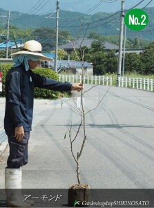 A[h No2iF1.7mOj2023.8Be