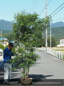 {[V}glRiF2.6mOj2023.10Be