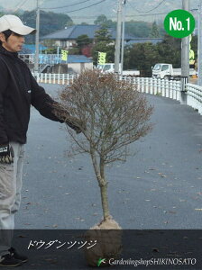 hE_ccW/ǂ/hE_UP@X^_[hd/No1iF1.1mOj2023.11Be
