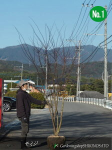 {[Cn~W/gt/݂ iF2.7mOj2024.1