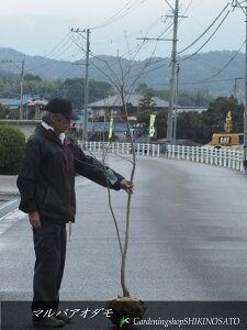 }oAI_ iF1.8mOj2024.2Be