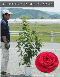 yczKN/oco@[QtXg/ iF1.7mOE8j2025.5Be