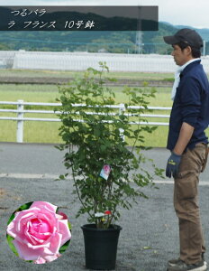 coc/KNc@郉@tXFLa France@No110EF1.5mO2025.5Be