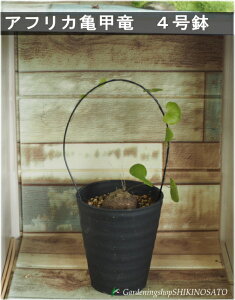 lC̃R[fbNX@AtJTb/Tb/LbREE@Ai4E40cmj@2025.6Be