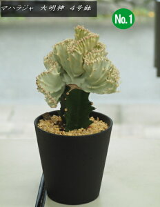 T{e "}nW"i[tHrA@"喾_"j@4i0.4mOj2025.9Be