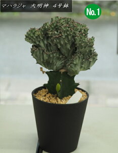 T{e "}nW"i[tHrA@"喾_"j@4i0.4mOj2025.9Be