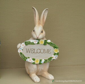 yIuWFEuEI[igz̒u ETM EGJrbg/EFJ
