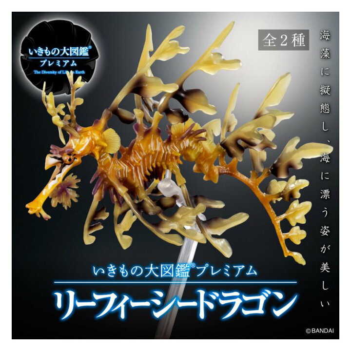楽天市場】バンダイ いきもの大図鑑プレミアム リーフィーシードラゴン 