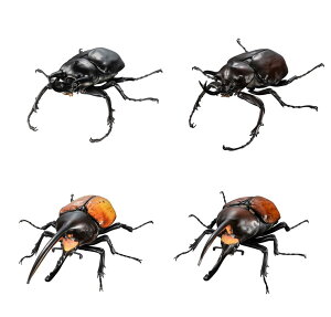 o_C ̑}ӃAhoX ]EJugƃwNXIIJug fBXvCX^hZbg S4Zbg