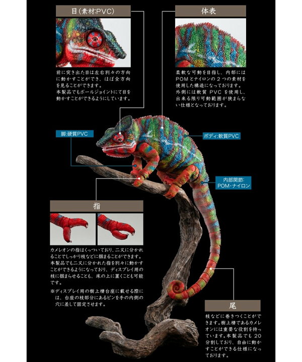 楽天市場】バンダイ いきもの大図鑑プレミアム パンサーカメレオン 