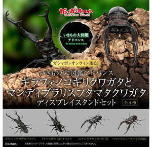 o_C ̑}ӃAhoX Mt@mRMNK^ƃ}fBuXt^}^NK^ fBXvCX^hZbg S4Zbg